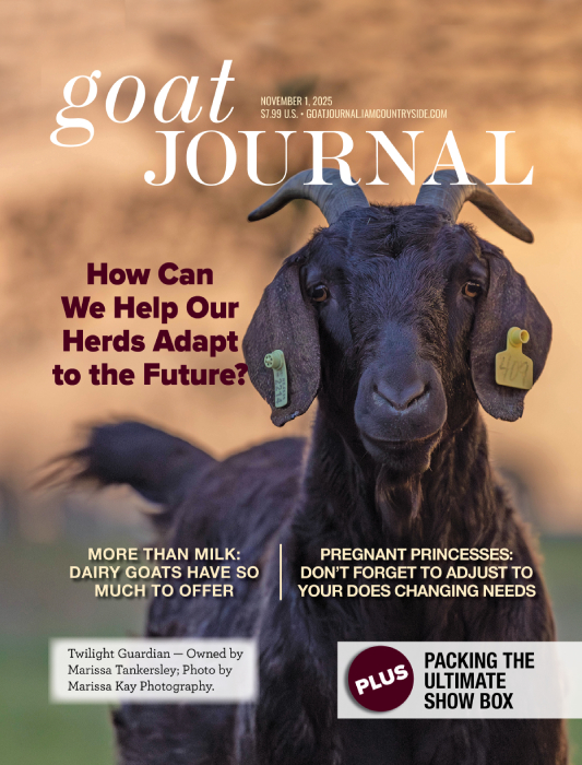 Goat Journal Digital Issue 17